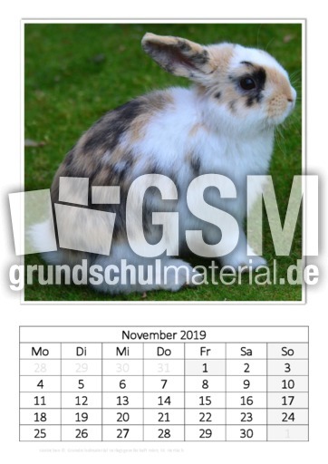 November_Kaninchen_1.pdf